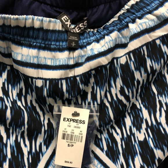 Express Dress - Picture 3 of 3